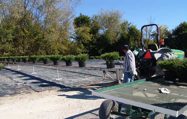 Portable conveyor, in a field, powered by power-take-off from a tractor. Move up to 800 pounds over 100 feet.