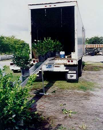 Loading nursery products into a truck